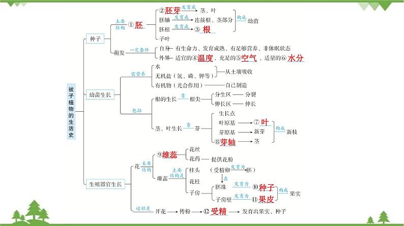 2021年中考生物北师大版复习 第6章 绿色开花植物的生活史 第7章 绿色植物与生物圈 课件05