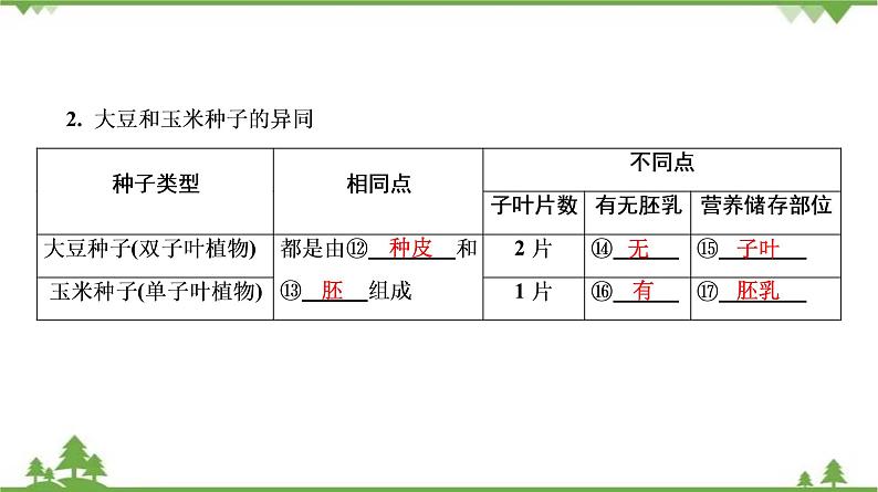 2021年中考生物北师大版复习 第6章 绿色开花植物的生活史 第7章 绿色植物与生物圈 课件08