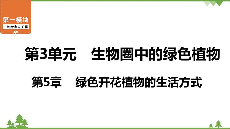 2021年中考生物北师大版复习 第5章 绿色开花植物的生活方式 课件01