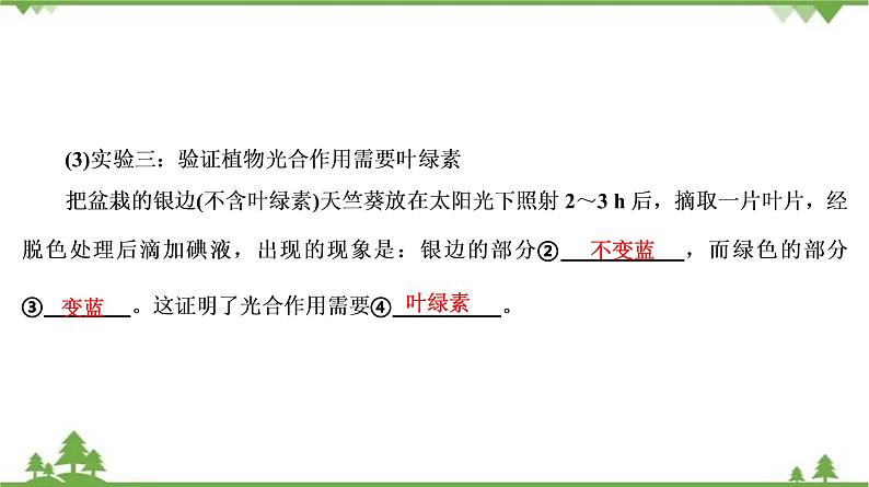 2021年中考生物北师大版复习 第5章 绿色开花植物的生活方式 课件08