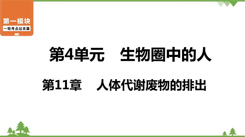 2021年中考生物北师大版复习 第11章 人体代谢废物的排出 课件01