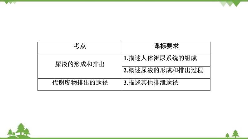 2021年中考生物北师大版复习 第11章 人体代谢废物的排出 课件03