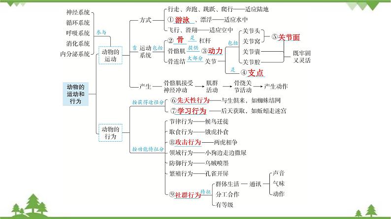 2021年中考生物北师大版复习 第15章 动物的运动 第16章 动物的行为 第17章 生物圈中的动物 课件05