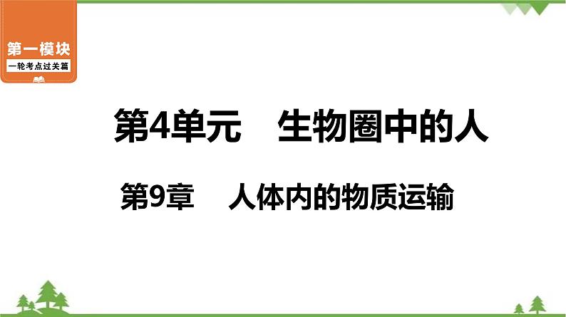 2021年中考生物北师大版复习 第9章 人体内的物质运输 课件01