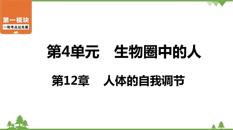 2021年中考生物北师大版复习 第12章 人体的自我调节 课件01