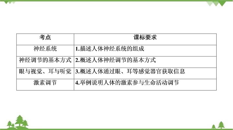 2021年中考生物北师大版复习 第12章 人体的自我调节 课件03