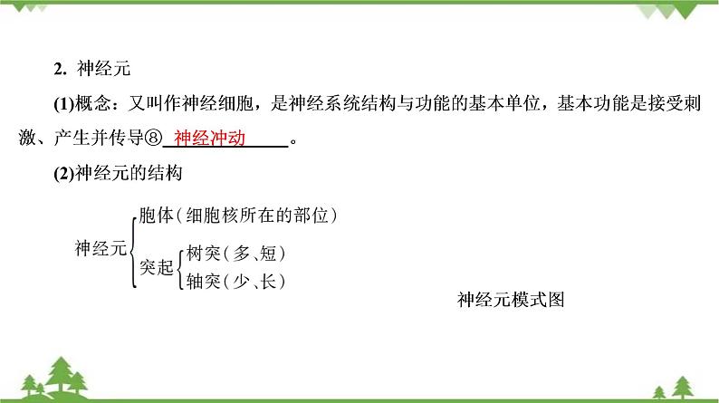 2021年中考生物北师大版复习 第12章 人体的自我调节 课件08