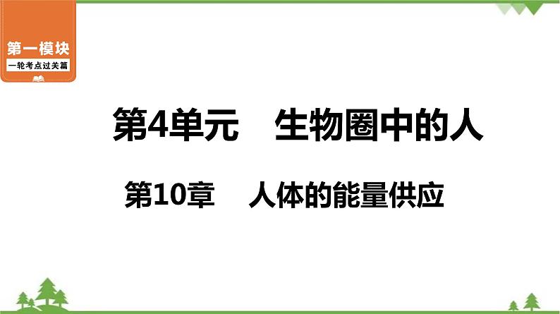 2021年中考生物北师大版复习 第10章 人体的能量供应 课件01