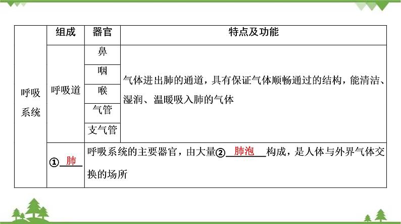 2021年中考生物北师大版复习 第10章 人体的能量供应 课件08