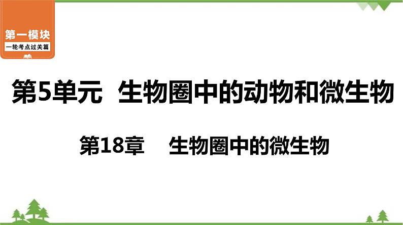 2021年中考生物北师大版复习 第18章 生物圈中的微生物 课件01