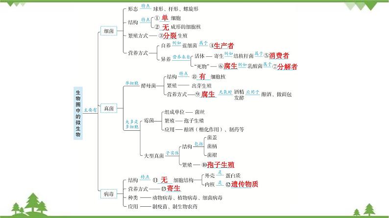 2021年中考生物北师大版复习 第18章 生物圈中的微生物 课件05