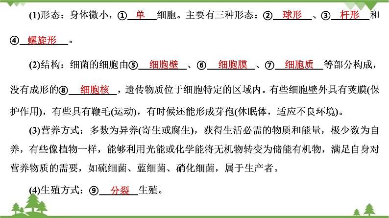 2021年中考生物北师大版复习 第18章 生物圈中的微生物 课件08