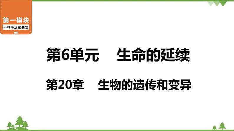 2021年中考生物北师大版复习 第20章 生物的遗传和变异课件01