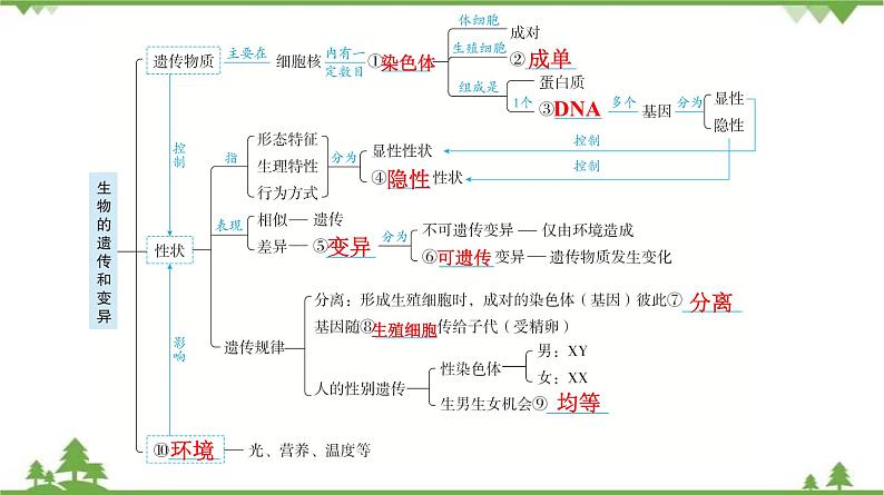 2021年中考生物北师大版复习 第20章 生物的遗传和变异课件05