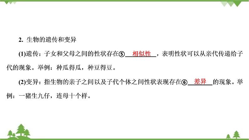 2021年中考生物北师大版复习 第20章 生物的遗传和变异课件08