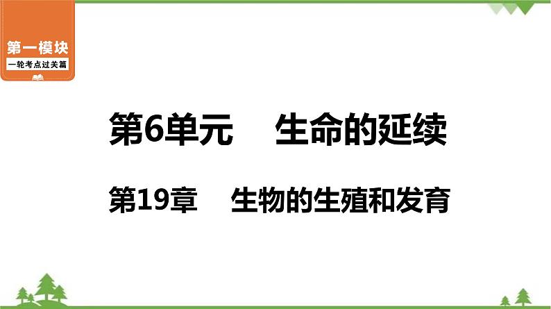 2021年中考生物北师大版复习 第19章 生物的生殖和发育 课件01