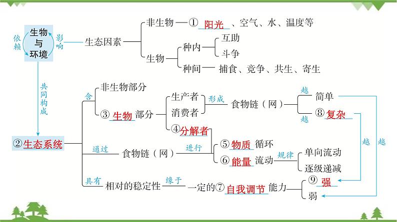 2021年中考生物北师大版复习 第23章 生态系统及其稳定性 第24章 人与环境课件05