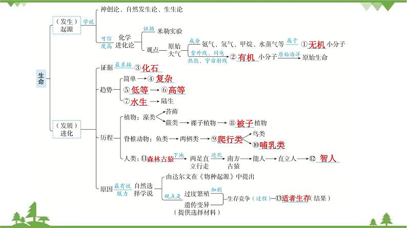 2021年中考生物北师大版复习 第21章 生命的发生和发展 课件05