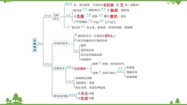 2021年中考生物北师大版复习 第25章 生物技术 课件05