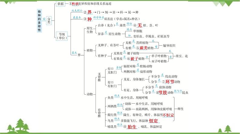 2021年中考生物北师大版复习 第22章 物种的多样性 课件06