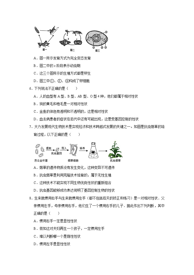 2020-2021学年山东省泰安市岱岳区八年级（上）期末生物试卷     解析版02