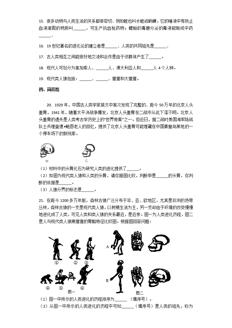 北师大版八年级下册生物第21章第3节 人类的起源与进化 课后习题（带解析）03