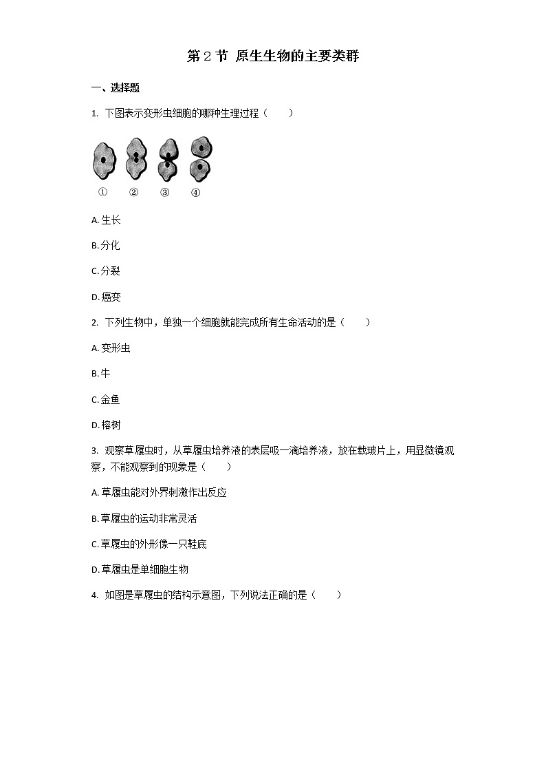 北师大版八年级下册生物第22章第2节 原生生物的主要类群 课后习题（带解析）01