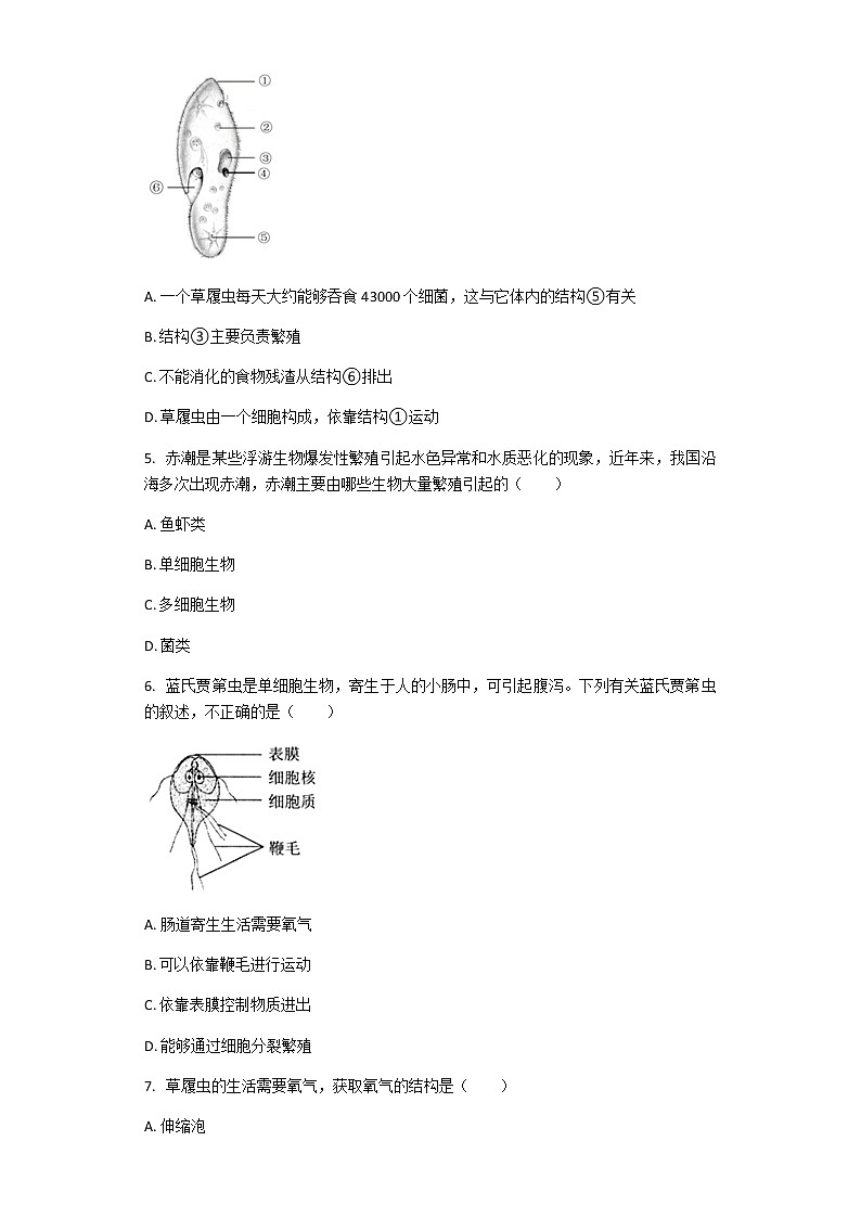 北师大版八年级下册生物第22章第2节 原生生物的主要类群 课后习题（带解析）02