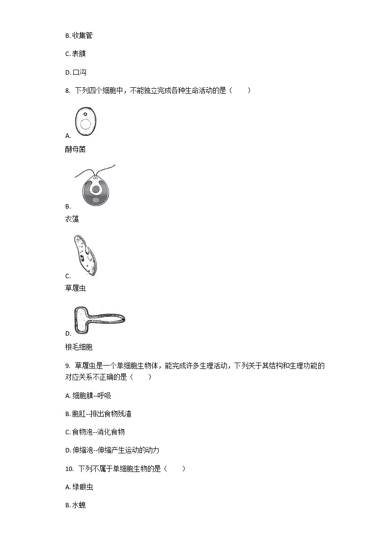 北师大版八年级下册生物第22章第2节 原生生物的主要类群 课后习题（带解析）03