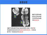 第二章 第四节 人的性别遗传 课件PPT