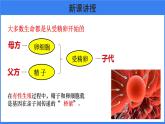 第二章 第二节 基因在亲子代间的传递 课件PPT