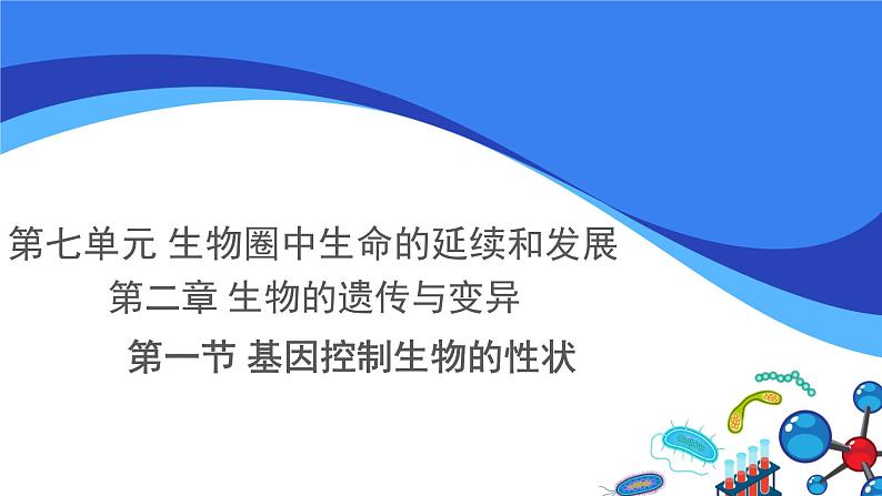 第二章 第一节 基因控制生物的性状 课件PPT第1页