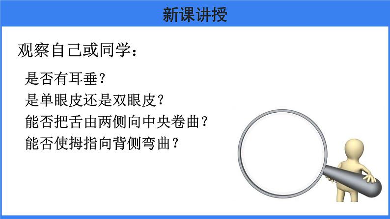 第二章 第一节 基因控制生物的性状 课件PPT第7页