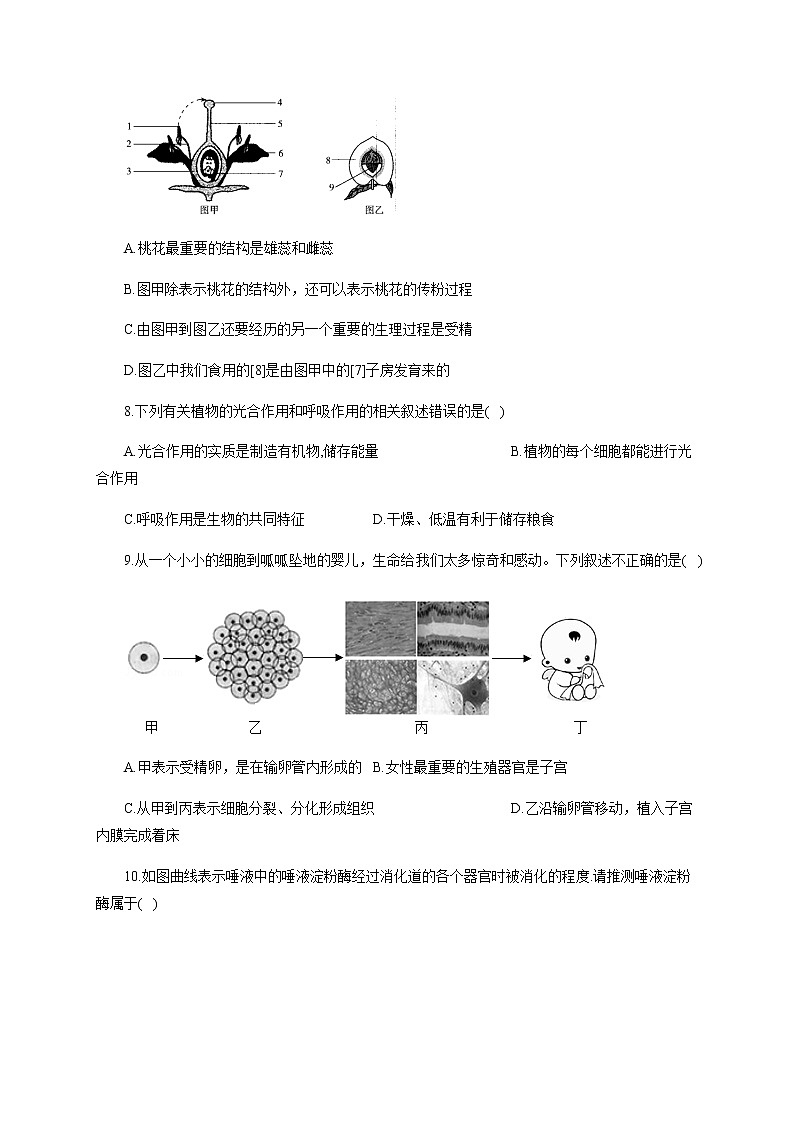 中考生物一轮复习综合检测（一）试题（含答案）第3页