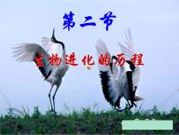 初中人教版 (新课标)第二节 生物进化的历程图文ppt课件