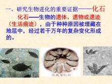 初中人教版 (新课标)第二节 生物进化的历程图文ppt课件_ppt01