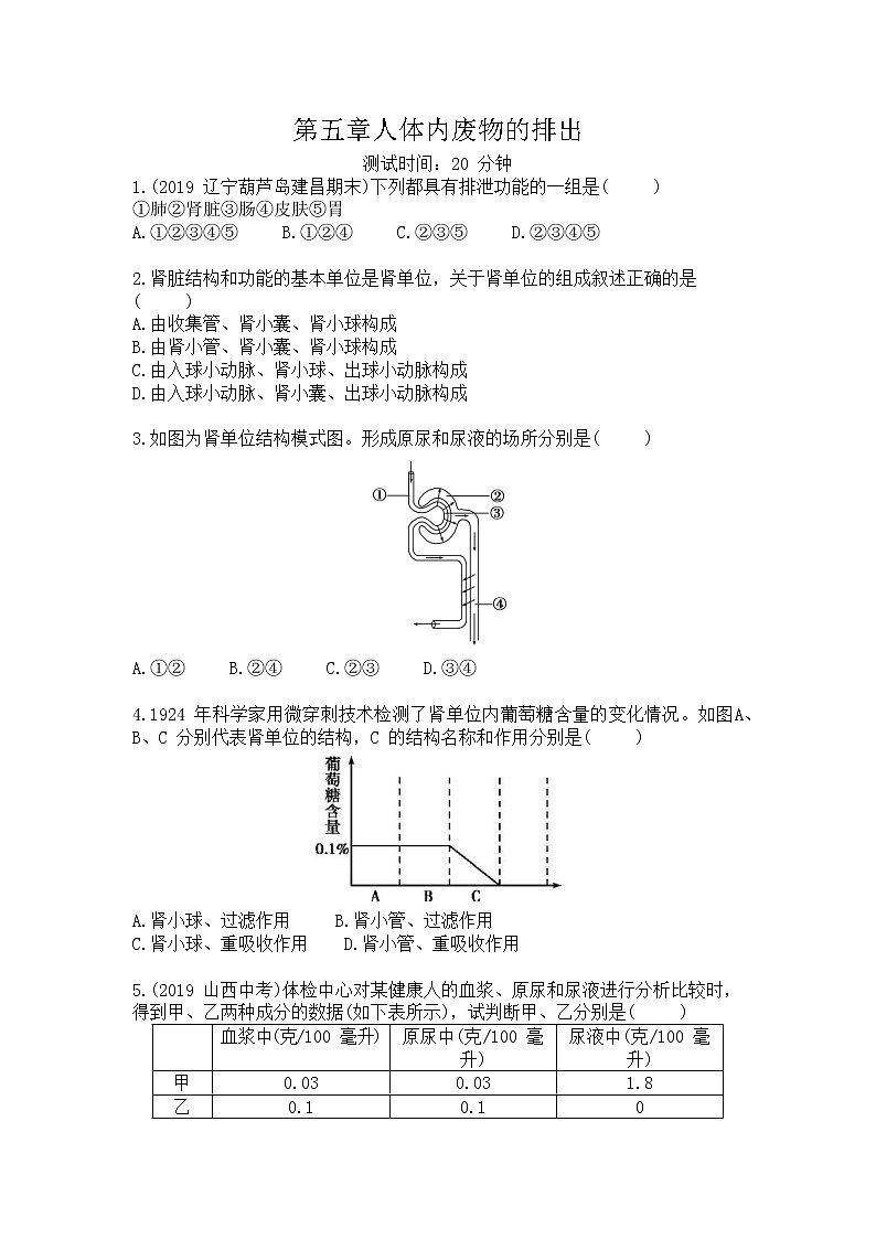 人教版生物七年级下第五章《人体内废物的排出》同步检测试卷（含答案）01
