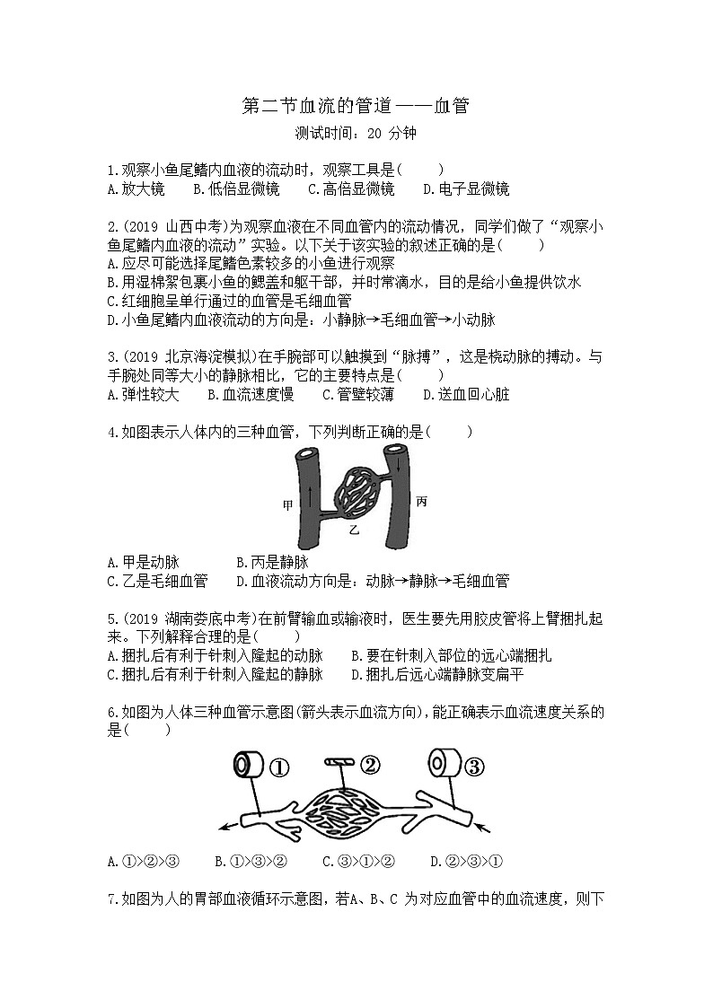 人教版生物七年级下册第四单元第四章第二节《血流的管道----血管》同步检测试卷01
