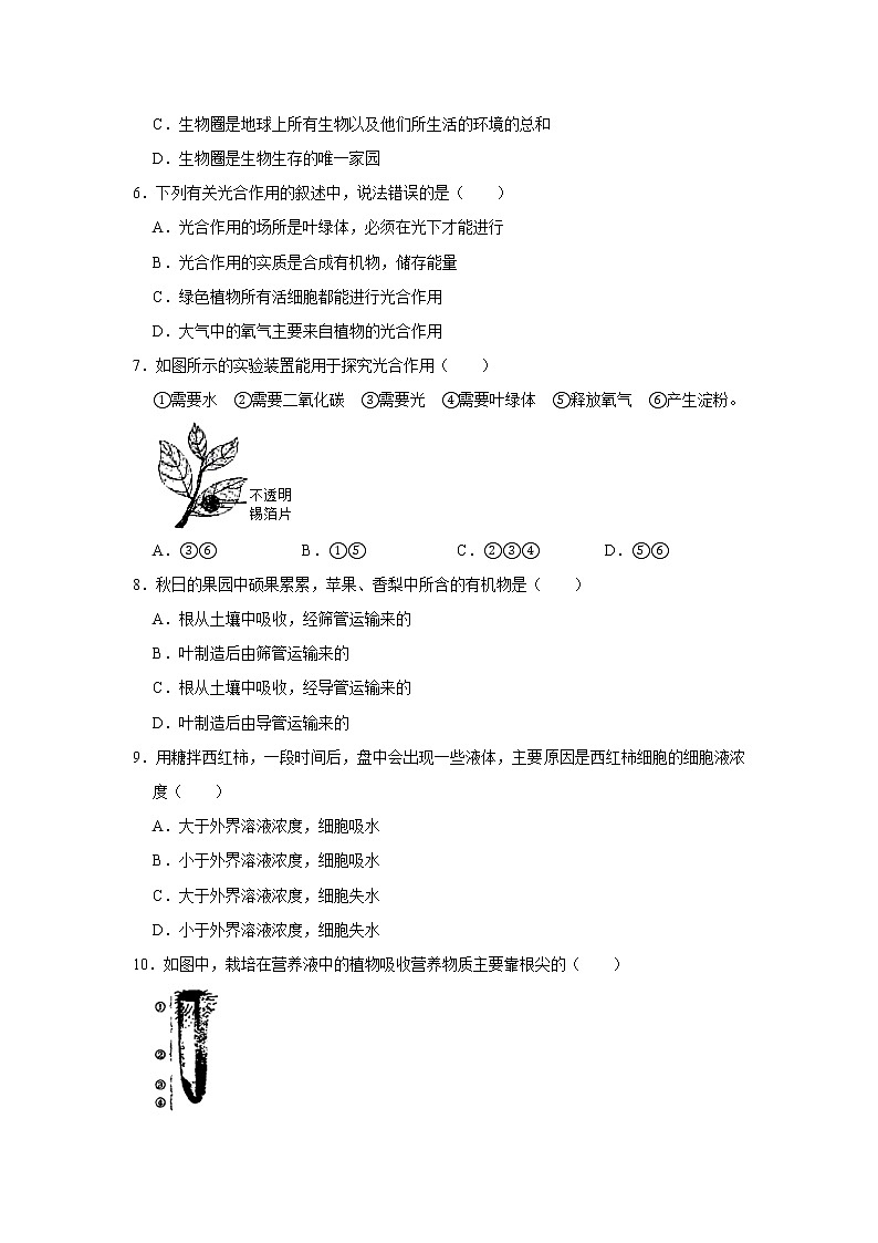 2020-2021学年江苏省宿迁市泗阳县七年级（上）期末生物试卷      解析版02
