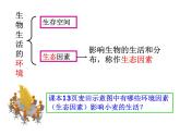 1.2.1《生物与环境的关系》 第一课时 PPT课件