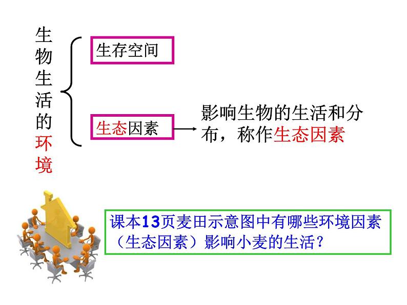 1.2.1《生物与环境的关系》 第一课时 PPT课件第3页