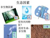 1.2.1《生物与环境的关系》 第一课时 PPT课件