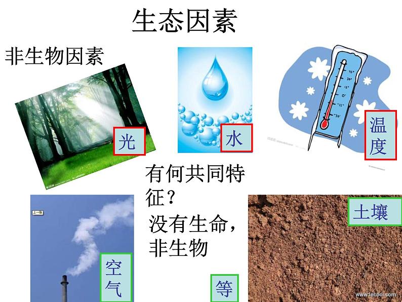 1.2.1《生物与环境的关系》 第一课时 PPT课件第5页