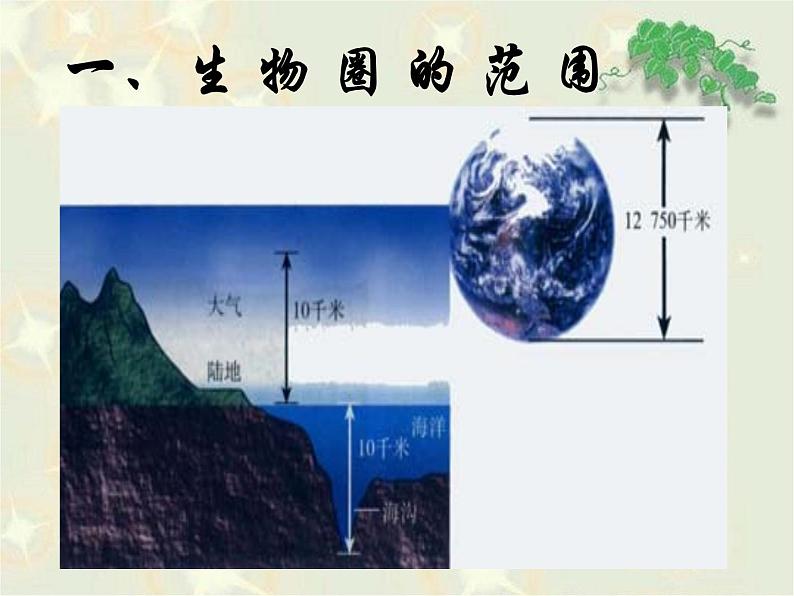 1.2.3《生物圈是最大的生态系统》 PPT课件05