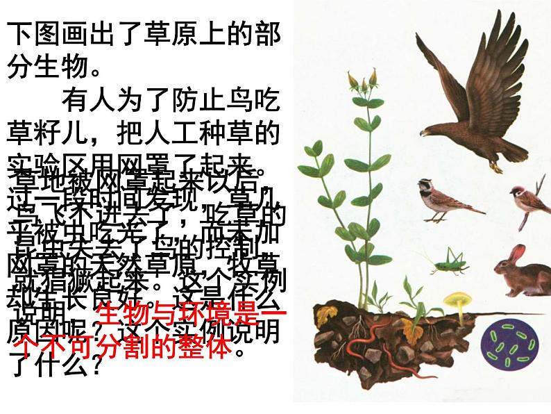 1.2.2 《生物与环境组成生态系统》 PPT课件02