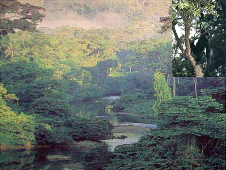 1.2.2 《生物与环境组成生态系统》 PPT课件04