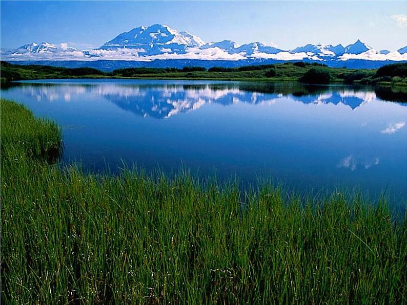 1.2.2 《生物与环境组成生态系统》 PPT课件07