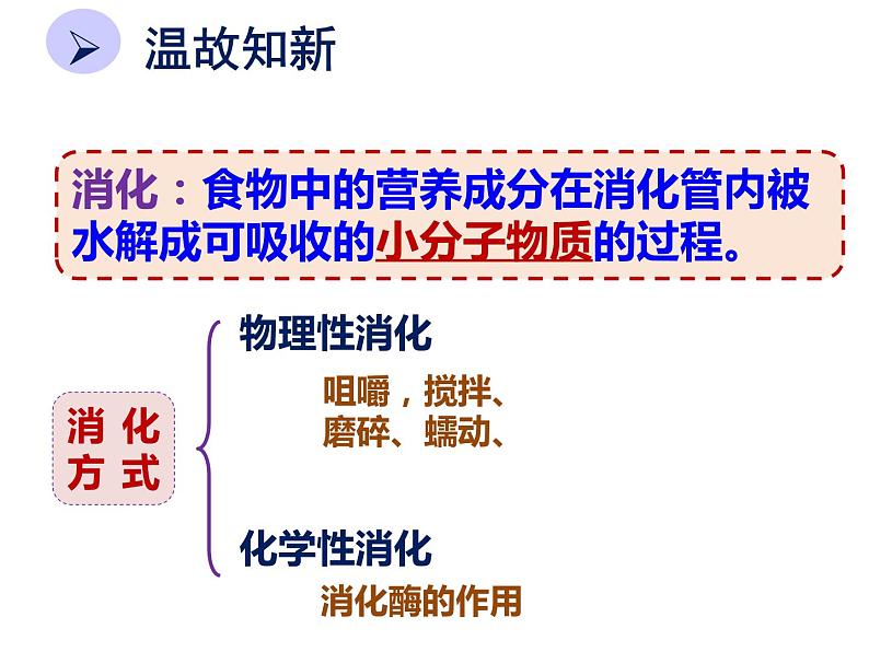 8.2 《食物的消化和营养物质的吸收》PPT课件03