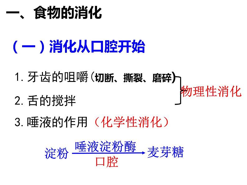 8.2 《食物的消化和营养物质的吸收》PPT课件04