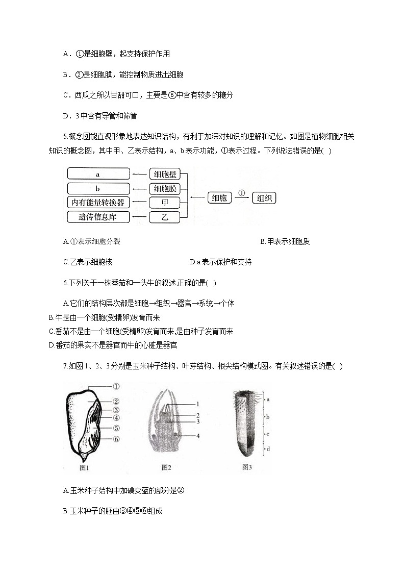 中考生物一轮复习综合检测（二）（有答案）第2页